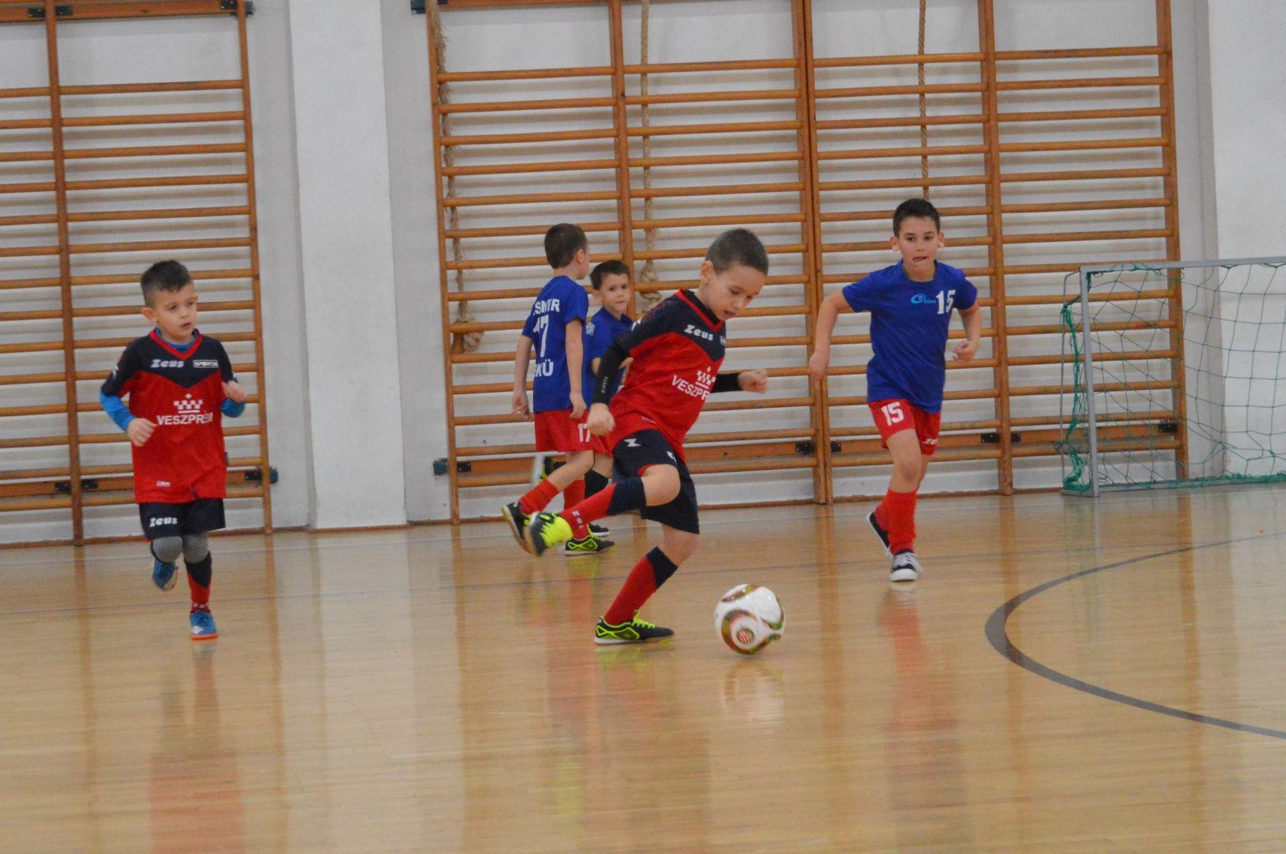 Mlsz Veszprem Megyei Igazgatosag
